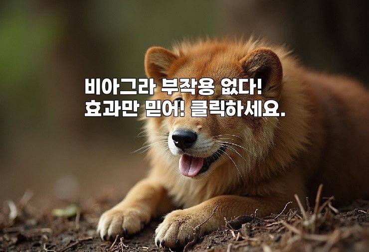 비아그라 부작용 없다! 효과만 믿어! 클릭하세요.
