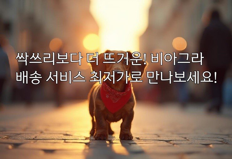 싹쓰리보다 더 뜨거운! 비아그라 배송 서비스 최저가로 만나보세요!