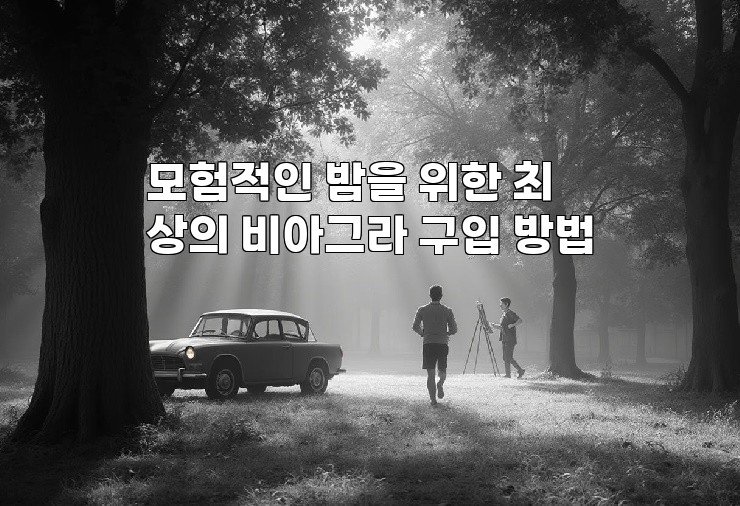 모험적인 밤을 위한 최상의 비아그라 구입 방법
