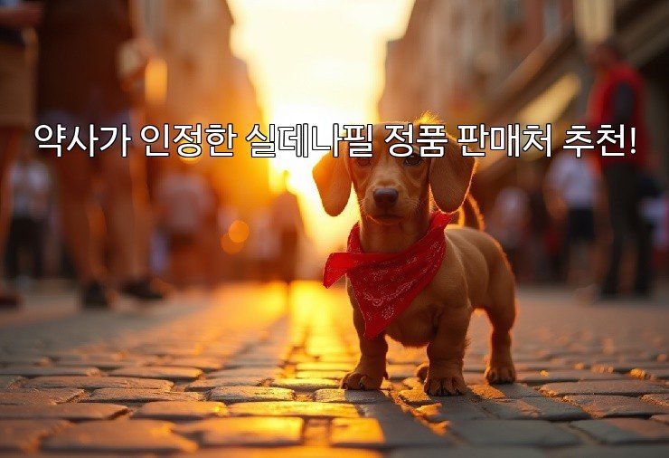 약사가 인정한 실데나필 정품 판매처 추천!