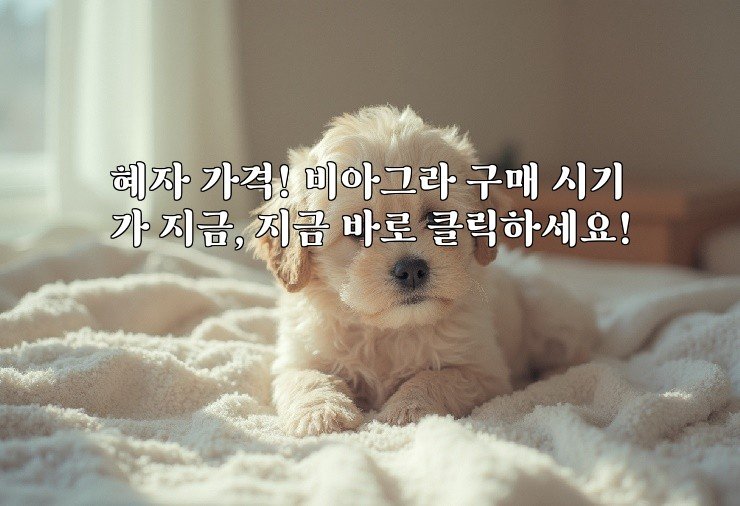혜자 가격! 비아그라 구매 시기가 지금, 지금 바로 클릭하세요!