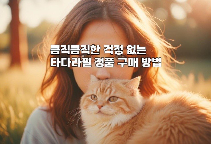 큼직큼직한 걱정 없는 타다라필 정품 구매 방법