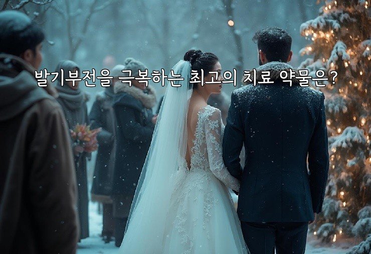 발기부전을 극복하는 최고의 치료 약물은?