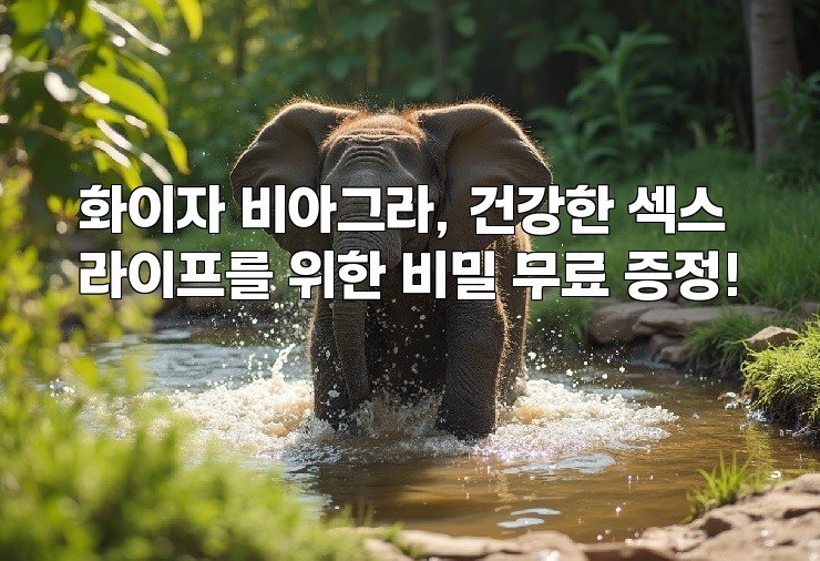 화이자 비아그라, 건강한 섹스 라이프를 위한 비밀 무료 증정!