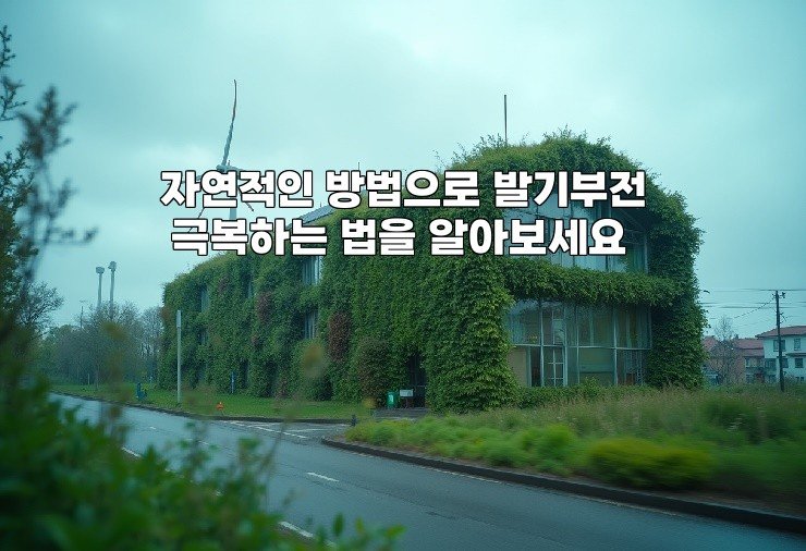 자연적인 방법으로 발기부전 극복하는 법을 알아보세요