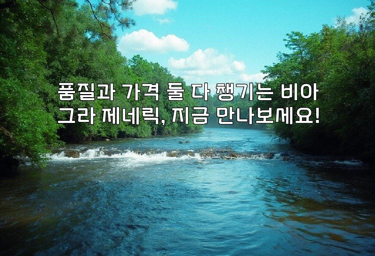 품질과 가격 둘 다 챙기는 비아그라 제네릭, 지금 만나보세요!